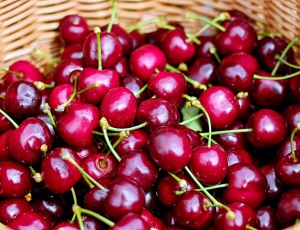 2017��ӣ�ҷ�չǰ��