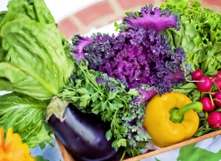 2�·��ʺ���ʲô��