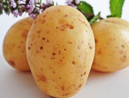 2�·��ʺ���ʲô��