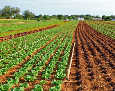 2�·��ʺ���ʲô��