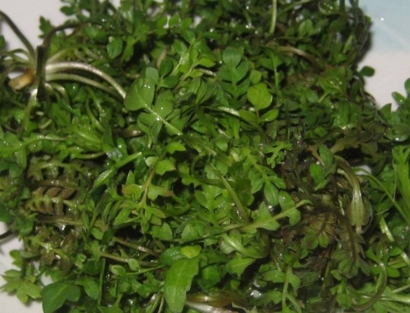 2�·��ʺ���ʲô��