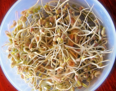 2�³�ʲô�߲�����