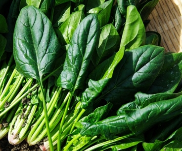 2�·ݳ�ʲô�߲�2