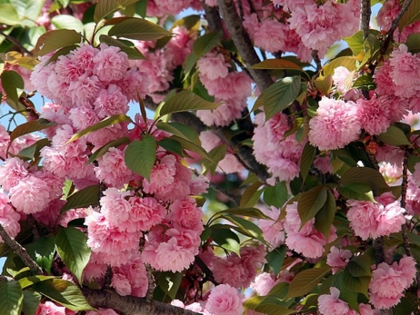 2017���人����ӣ���ڼ����ӣ����ʱ��