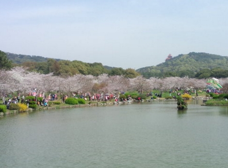 2017���人����ӣ���ڼ����ӣ����ʱ��