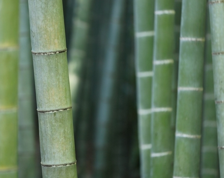 �ϱ�������ʲôʱ������