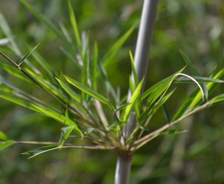 �ϱ�������ʲôʱ������