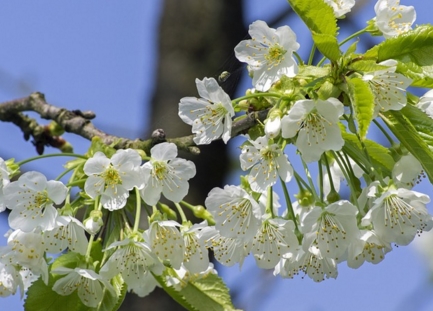 ӣ����������