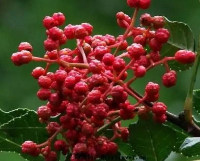 ��������ʲôʱ������