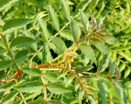 ��������ʲôʱ������2