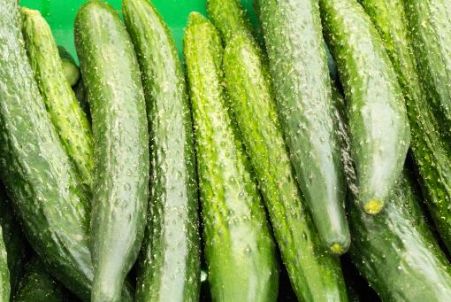 �ƹ���ֲǰ��-��ͼ��