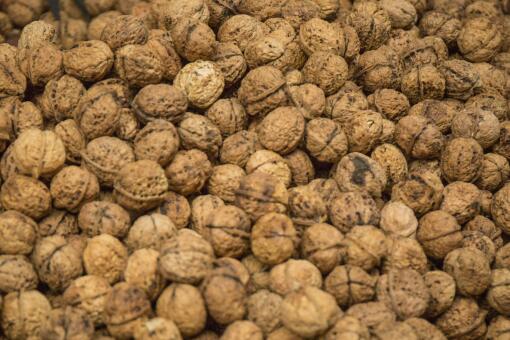 ������ֳǰ��-��ͼ��