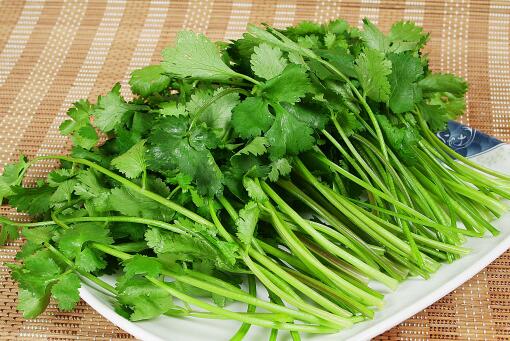 ������¼۸�Ԥ��-��ͼ��