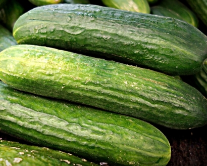 黄瓜1