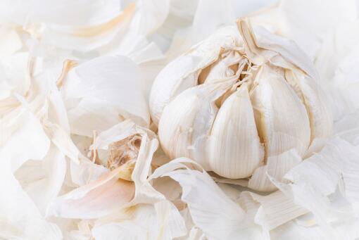 大蒜价格-摄图网