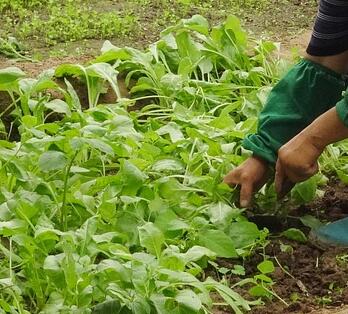 ¶��Խ���߲�ʲôʱ���ֺ��ʣ���ΰ�ȫ������