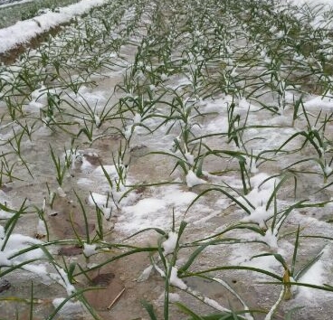 ¶��Խ���߲�ʲôʱ���ֺ��ʣ���ΰ�ȫ������