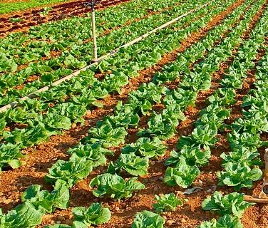 ¶��Խ���߲�ʲôʱ���ֺ��ʣ���ΰ�ȫ������