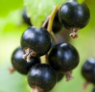 �ڶ�����ʲô��