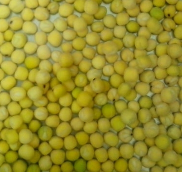 �������ඹѿ4