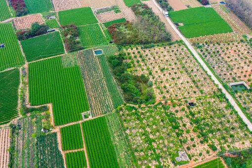 ũ����ֲʲô׬Ǯ-��ͼ��