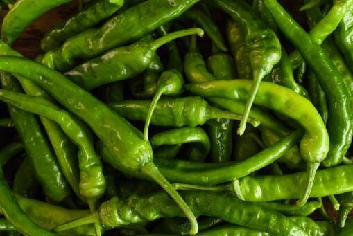 �������¼۸����Ǯһ��-��ͼ��