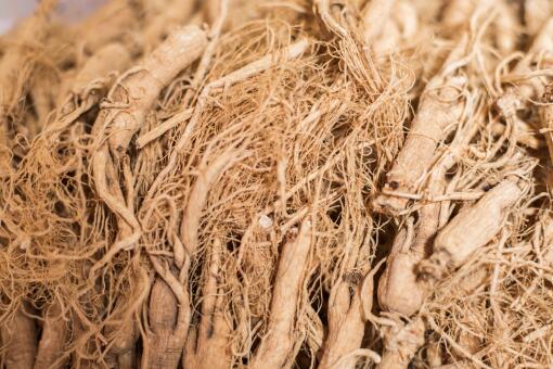 ���������ʺ���ֲ��ҩ��-��ͼ��