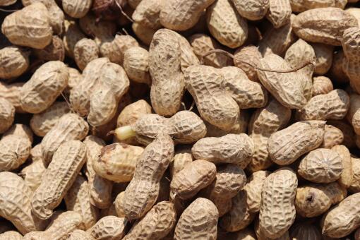 �����۸�����-��ͼ��