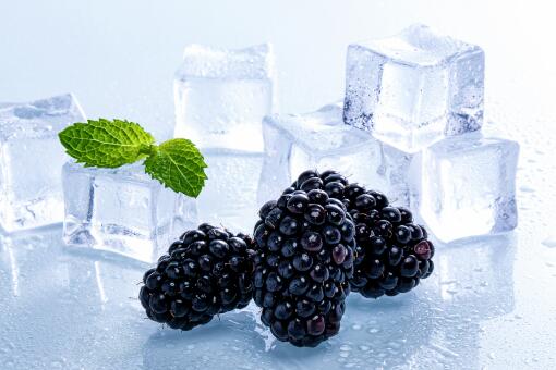 黑莓多少钱一斤-摄图网