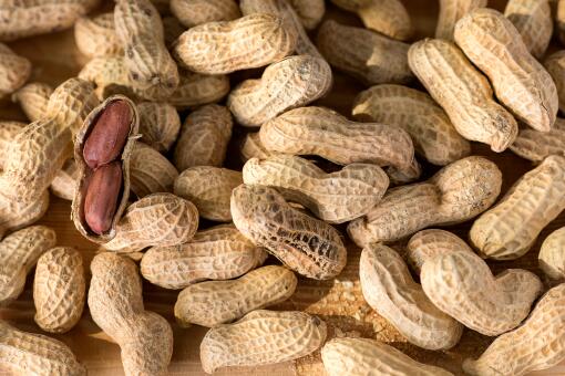 ��ʲôƷ�ֵĻ����ܸ߲�-��ͼ��