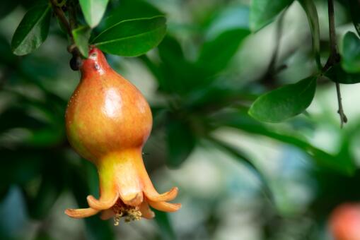 ��ʯ��׬Ǯ��-��ͼ��