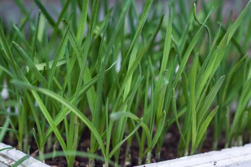 �־²�׬Ǯ��-��ͼ��