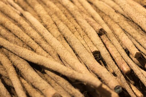 ��ɽҩ׬Ǯ��-��ͼ��