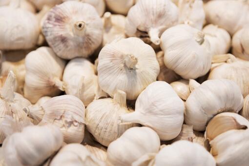 �ִ���׬Ǯ��-��ͼ��