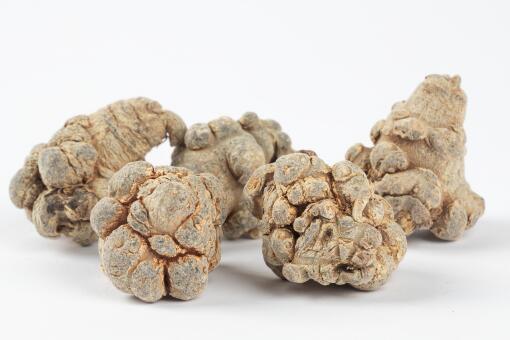 ��һĶ���ߴ�Լ׬����Ǯ-��ͼ��