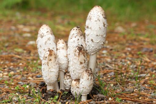 �ּ��ȹ�׬Ǯ��-��ͼ��