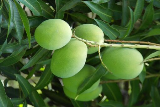 â�����������վ