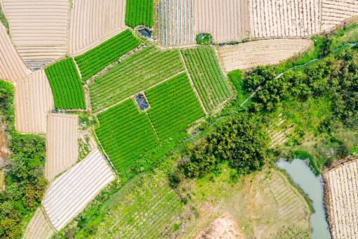 种什么赚钱-摄图网