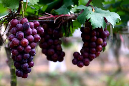 ������׬Ǯ��-��ͼ��