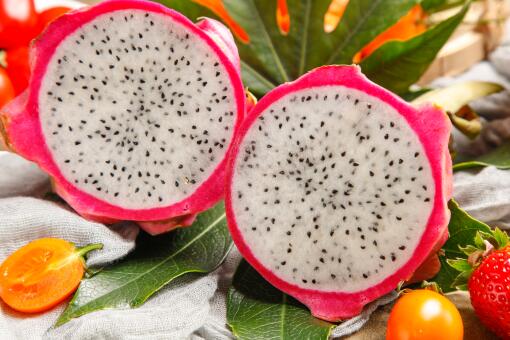 �ֻ�����׬Ǯ��-��ͼ��