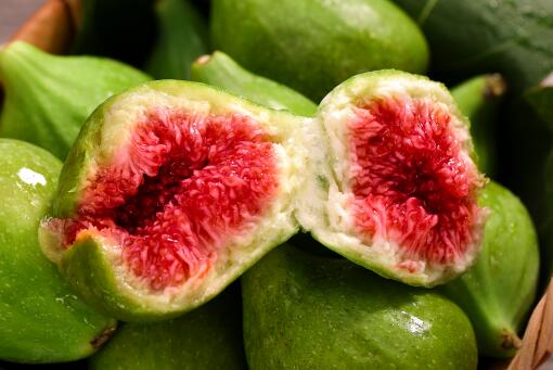 ���޻���׬Ǯ��-��ͼ��