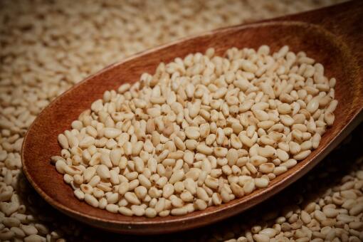 ֥�顪����ͼ