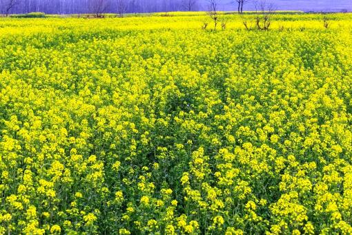 �Ͳ˻�����ʱ��-��ͼ��