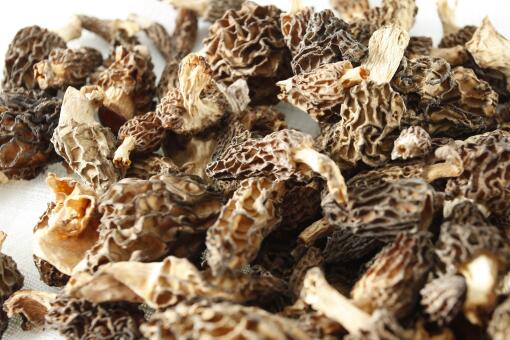 ��Ǿ�ʲô������-��ͼ��