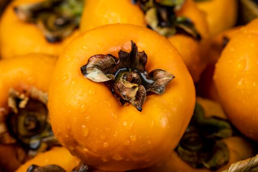 ���Ӷ���Ǯһ��-��ͼ��