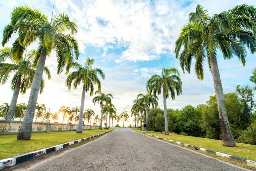 Ҭ����ʲô���ڵ�ˮ��-��ͼ��