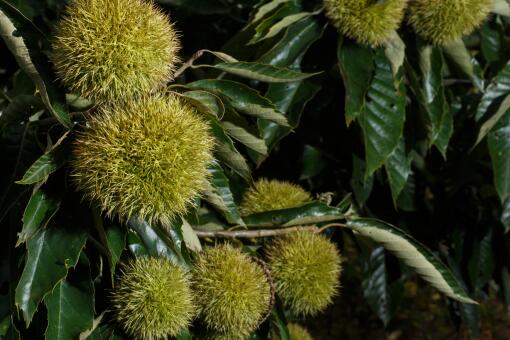 ���ʰ�������Ǯһ��-��ͼ��