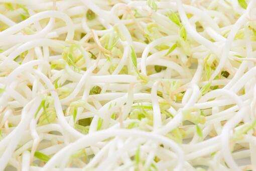 �̶�ѿ����Ǯ-��ͼ��