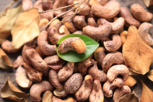 腰果多少钱一斤-摄图网