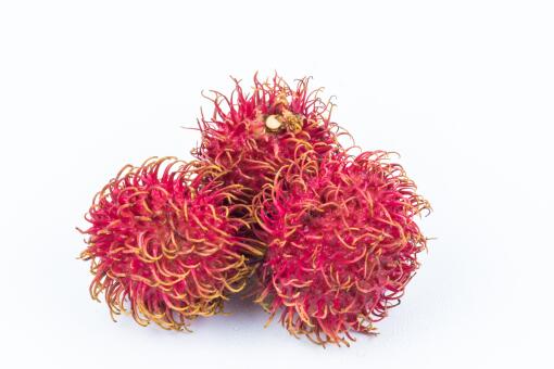 红毛丹多少钱一斤-摄图网